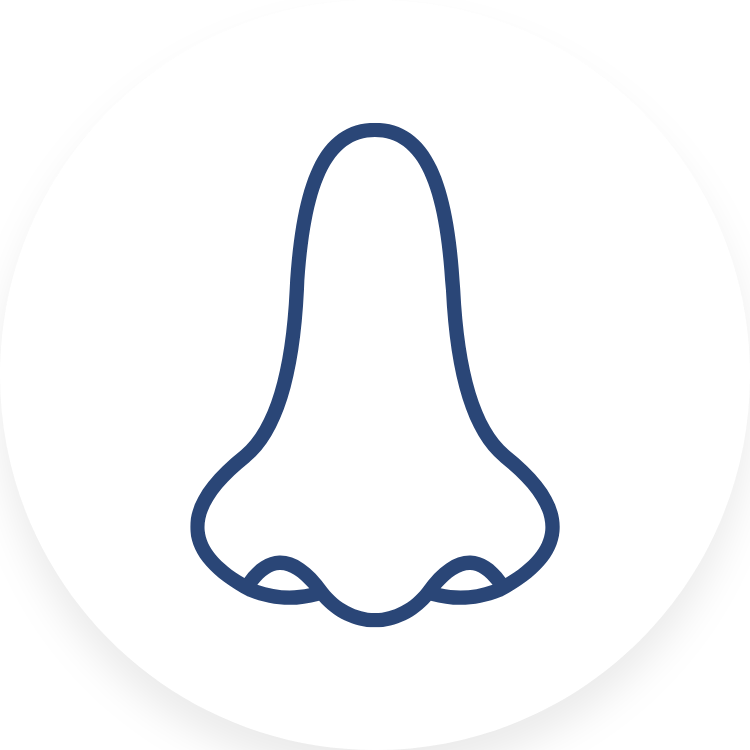 MisOtorrinos_Servicios_CirugiaNariz