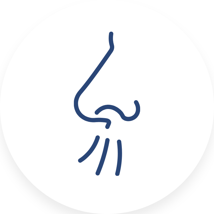 MisOtorrinos_Servicios_Sinusitis